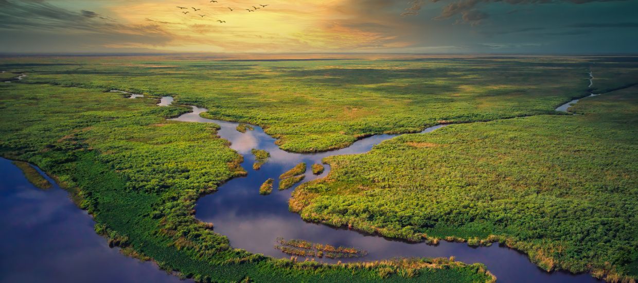 everglades aerial