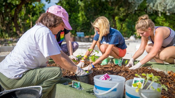 Terri Hood gardening story